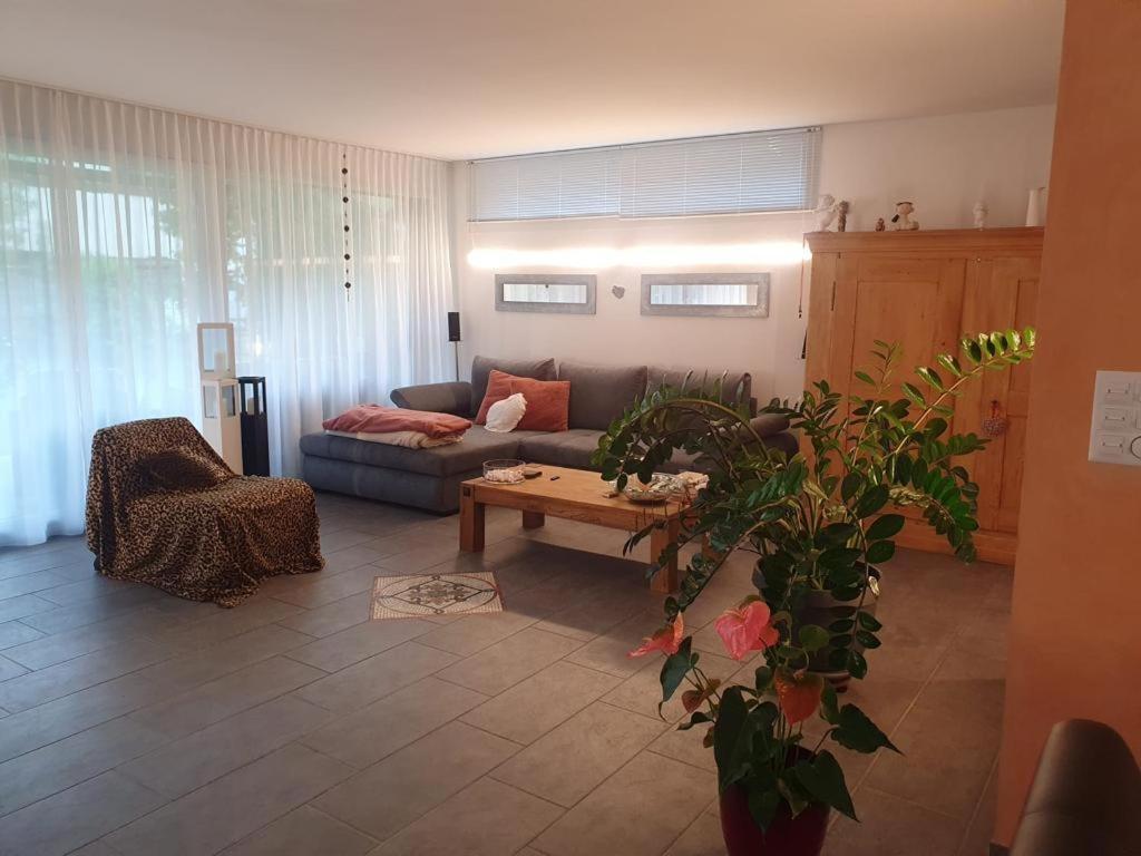 Casa Nadja, Naehe Skigebiet Flims-Lax Ems Bagian luar foto